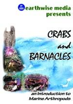 Crabs and Barnacles cover image
