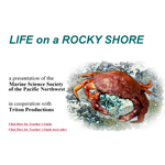 Life on a Rocky Shore Cover