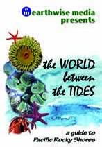 World Between the Tides Cover